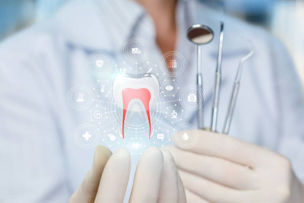 Best Traditional Braces  in Oakdale, MN